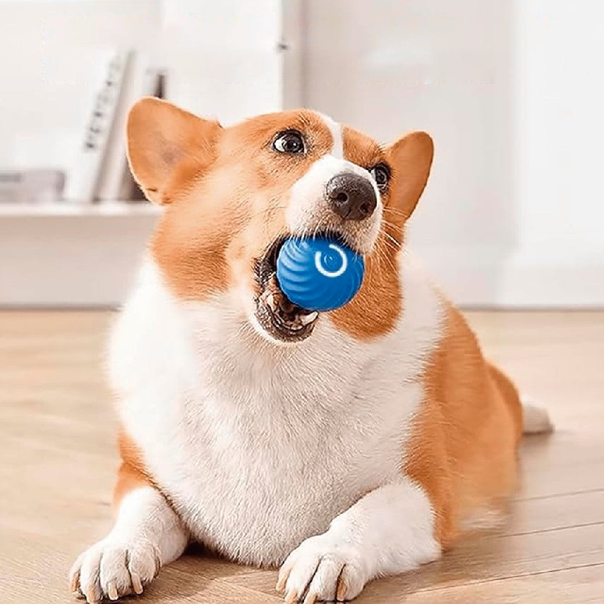 PELOTA DE JUGUETE INTELIGENTE PARA MASCOTA