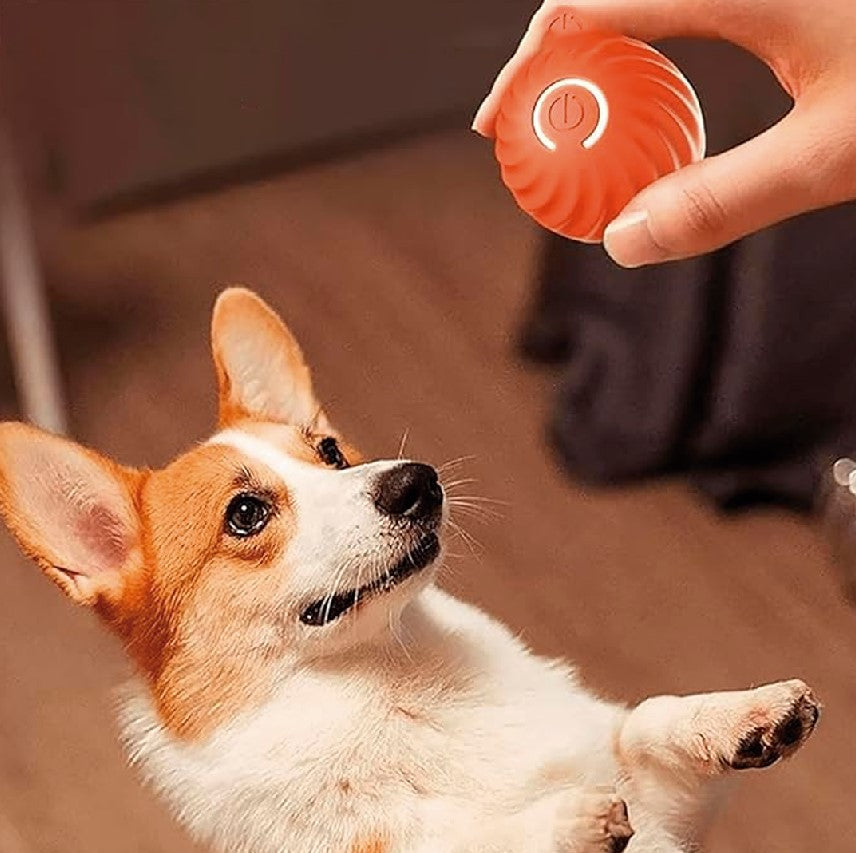 PELOTA DE JUGUETE INTELIGENTE PARA MASCOTA