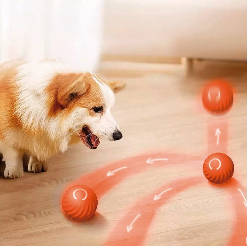 PELOTA DE JUGUETE INTELIGENTE PARA MASCOTA