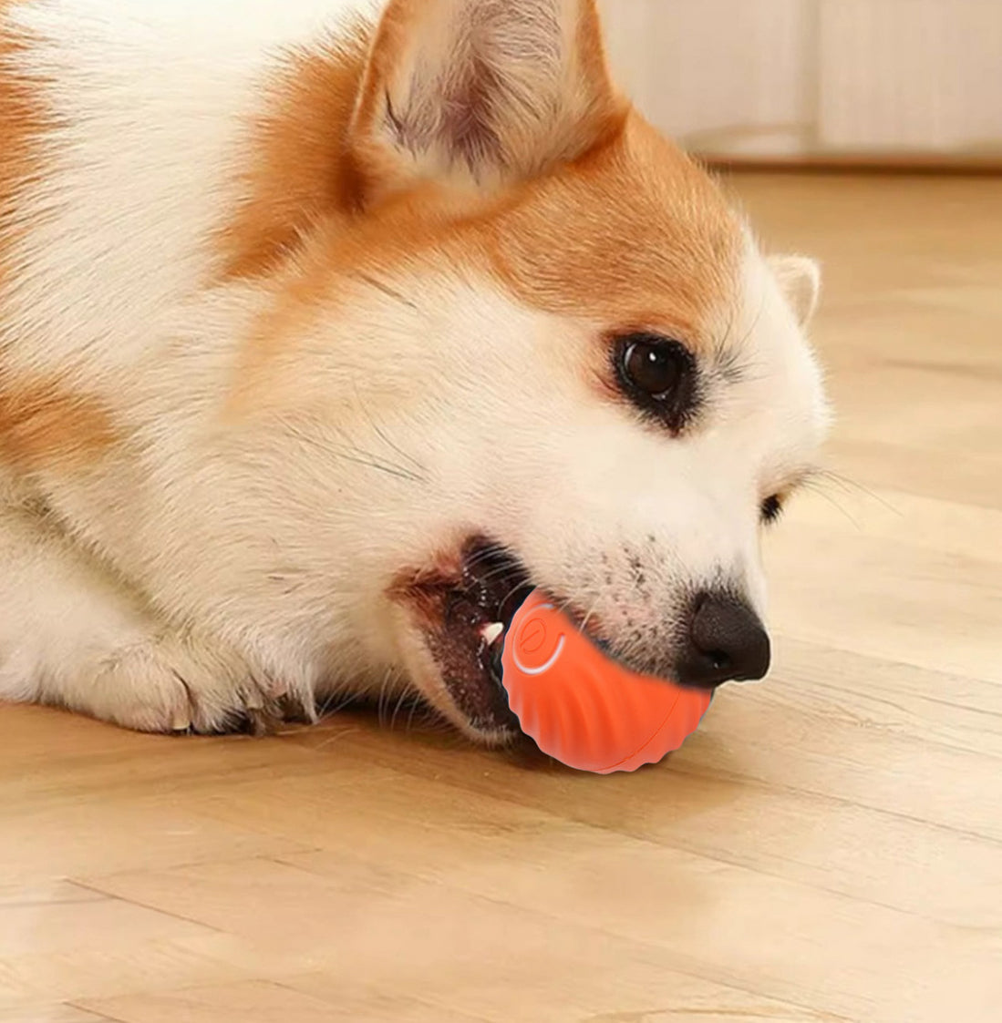 PELOTA DE JUGUETE INTELIGENTE PARA MASCOTA